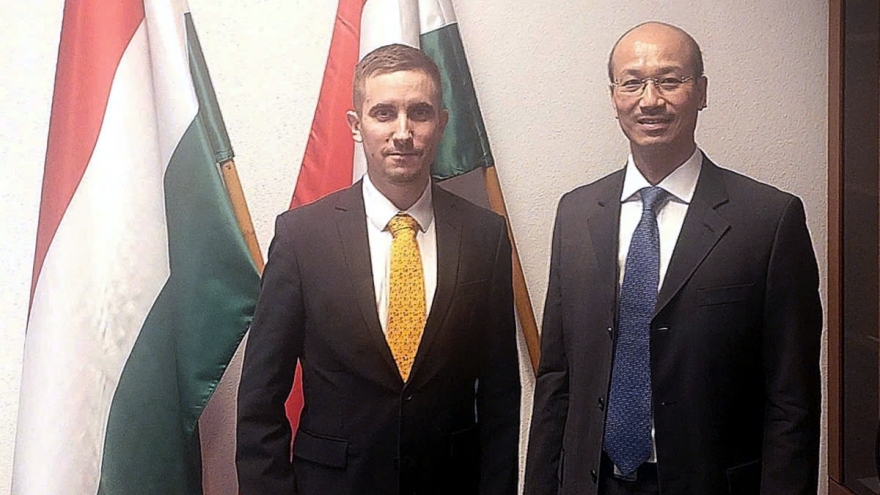 Vietnam, Hungary boost comprehensive cooperation